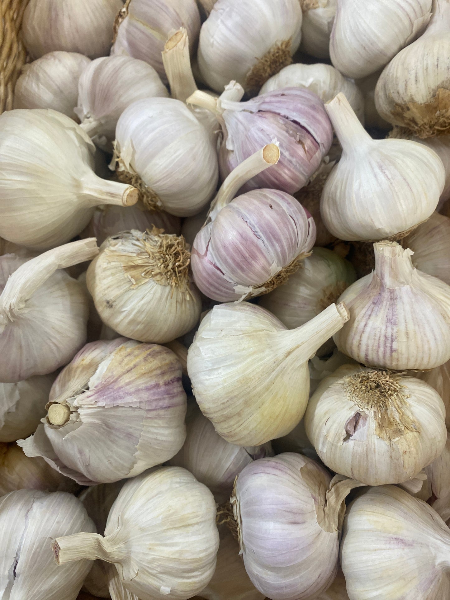 AJO CASTAÑO GRANEL