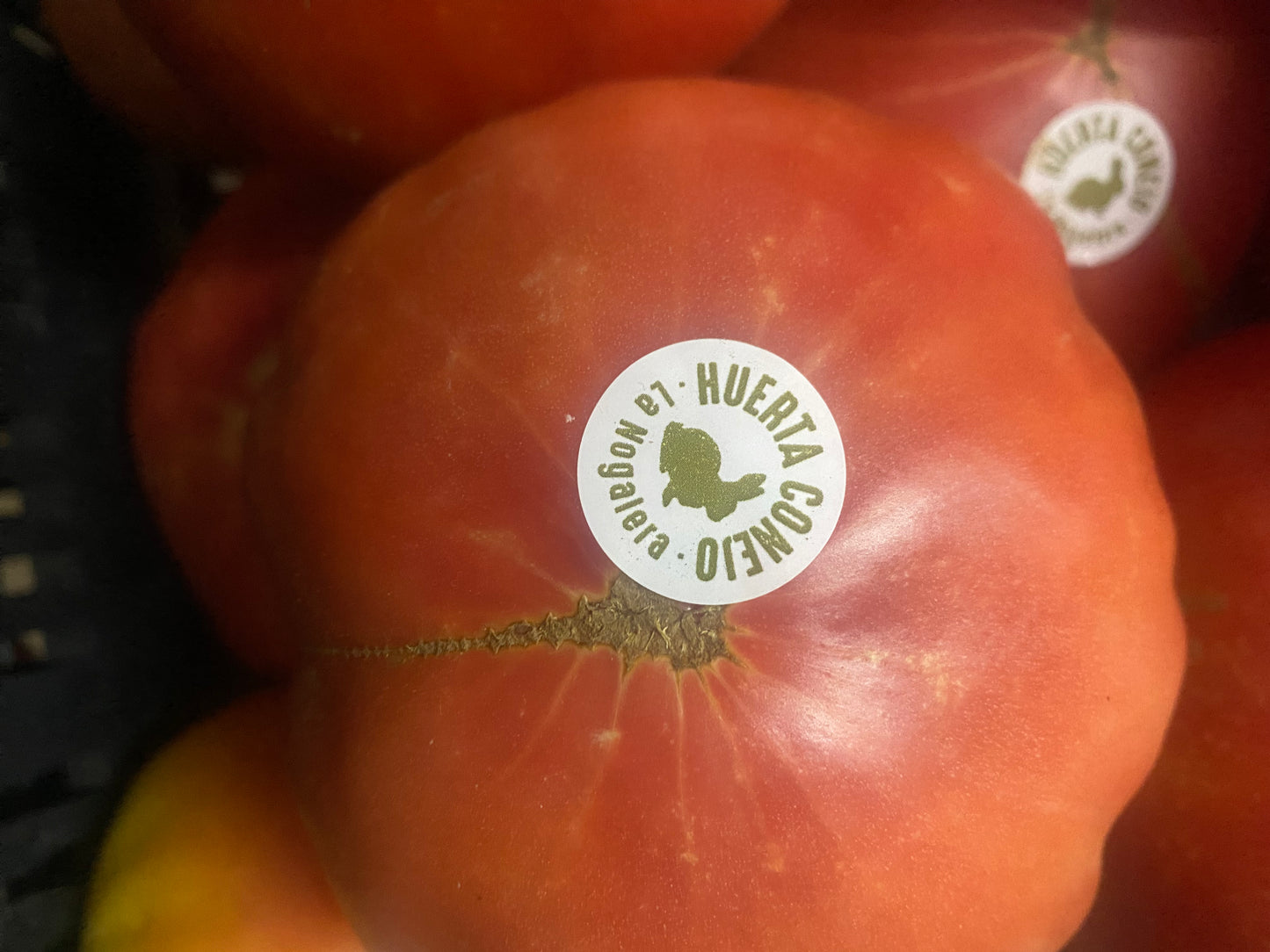 Tomate ecológico gordo