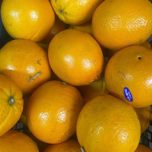 Naranjas de Mesa