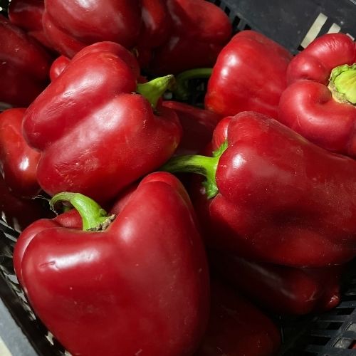 Pimientos Rojos- Mercado Local