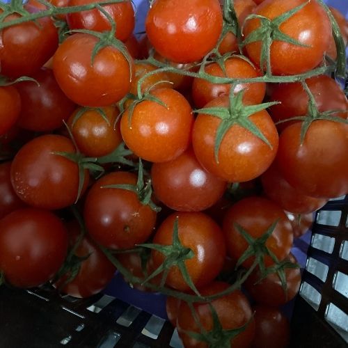 Tomates Cherry- Mercado Local