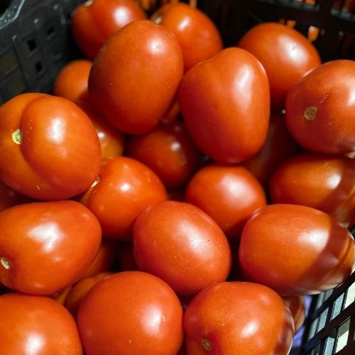 Tomates de Pera- Mercado Local